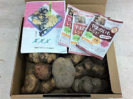 D092 徳地やまのいも箱入り2㎏(秀)