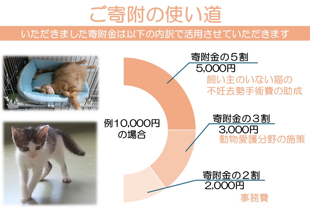 K011 飼い主のいない猫の不妊去勢手術支援～不幸な命を増やさないために～