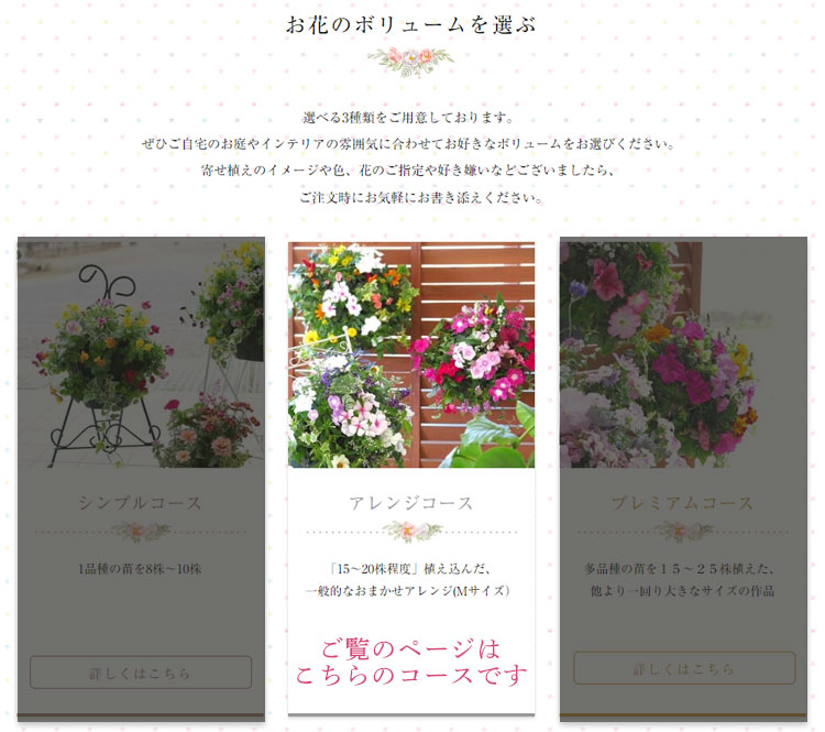 A031 花うるるのハンギング定期便～アレンジコース【全6回】（半年～1年間お届け）