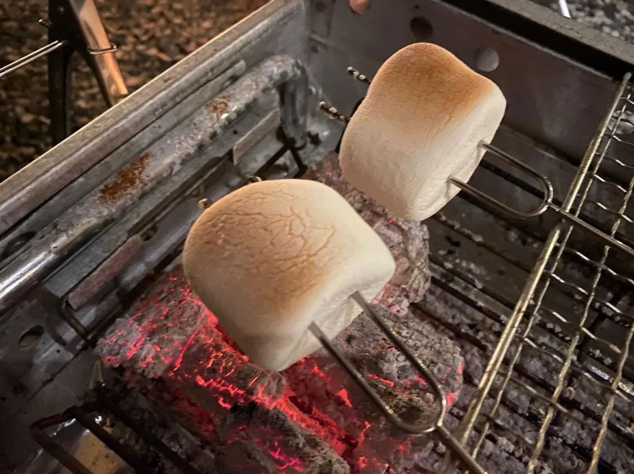 A075 アウトドア体験券４名様分