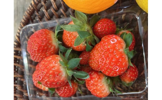 A086 規格外だけど美味しさ満点！エコ・フルーツアソートボックス定期便（12回）