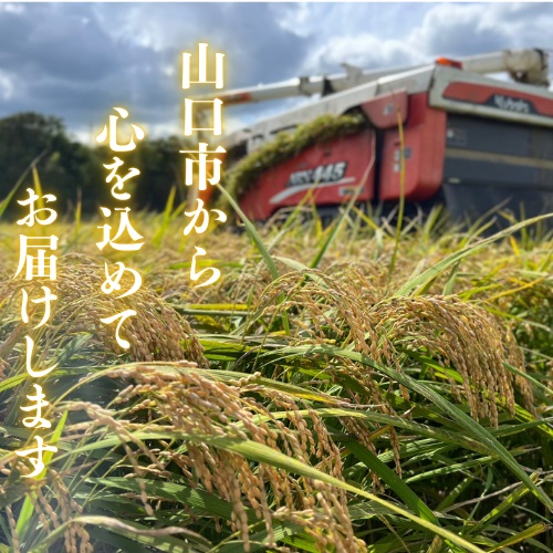 D404 農家直送！山口市産新米「コシヒカリ」精米10kg
