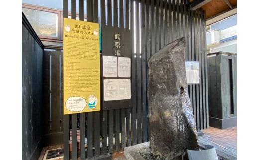 D315 温泉の素「湯田の湯」（250g×2個）