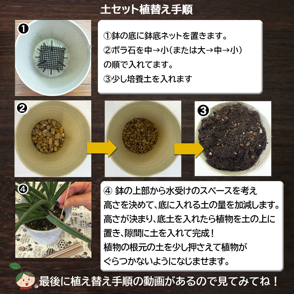 E104 培養土【植え替え土セット】観葉植物の土　5号
