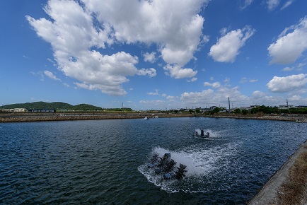 D037 車海老西京漬と活き〆冷凍車海老詰め合わせセット
