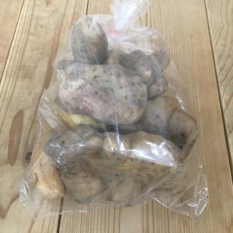 E059 徳地やまのいも1㎏袋（ご家庭用）×1袋