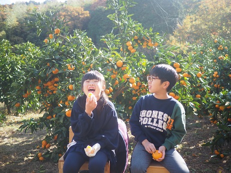 A087 瀬戸内海を臨む秋穂温泉あいお荘宿泊と選べる体験プラン