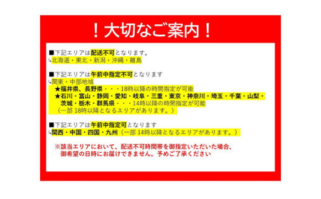 C040 活きあいおえび900g（20～36尾）