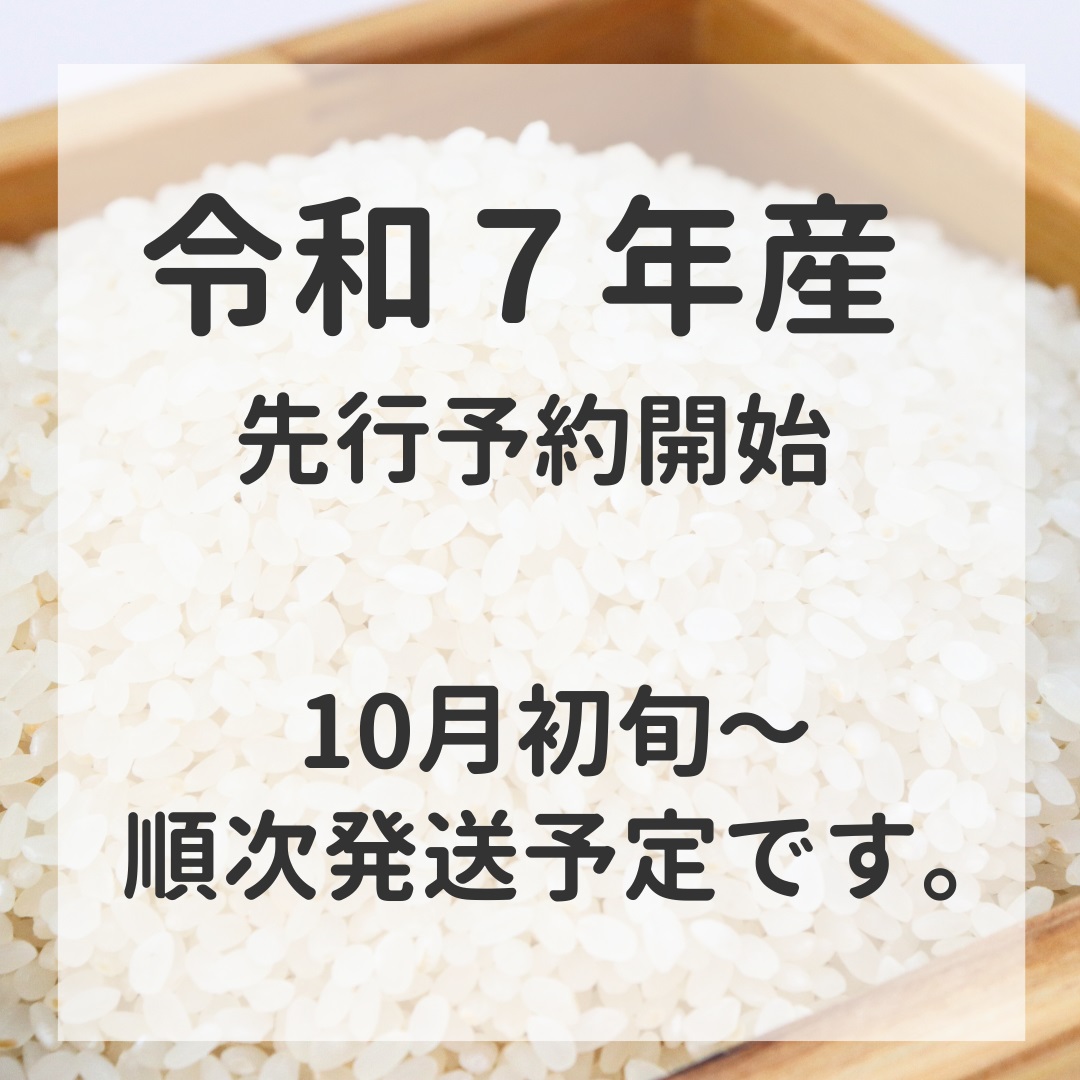 D405 農家直送！山口市産新米「きぬむすめ」精米10kg