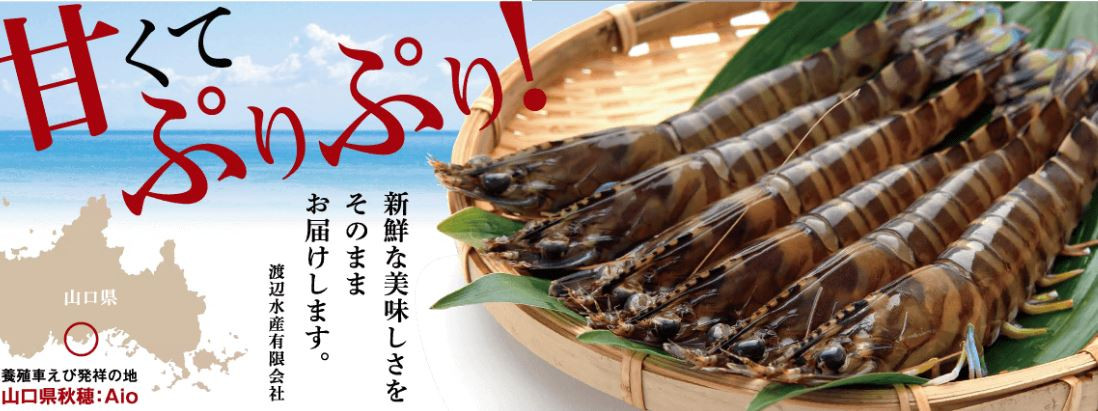 D275 生食用！活き〆超急速冷凍車えび