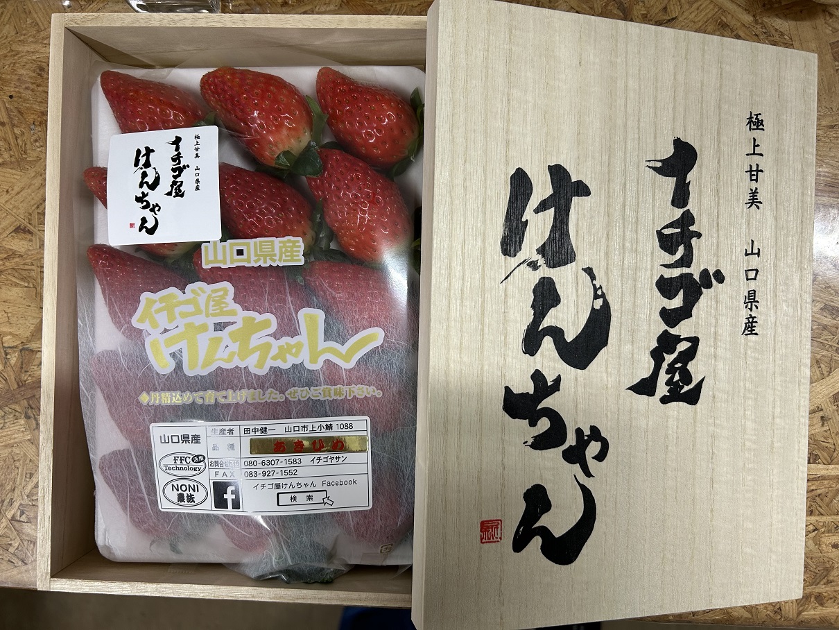 D326 イチゴ屋けんちゃん高糖度桐箱　いちご