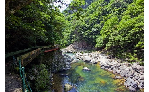 D409 無洗米阿東のこしひかり5㎏（白米）