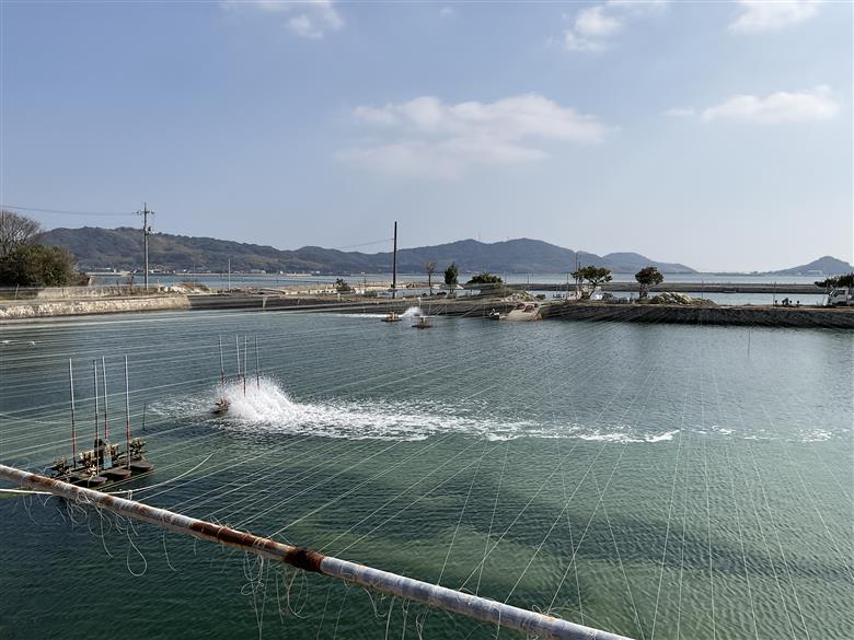 D413 【秋穂産車海老使用】本格カンジャンセウ　5尾入り