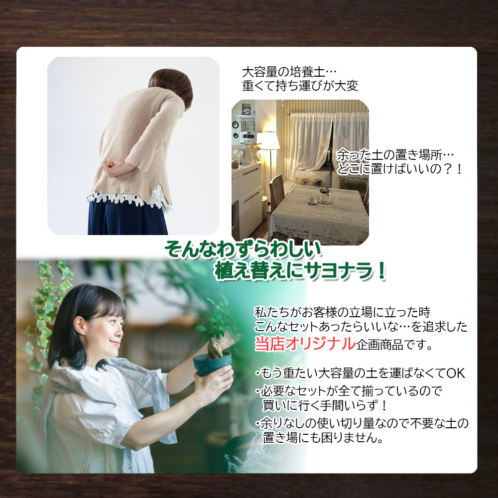 	E101 培養土　【植え替え土セット】　観葉植物の土　4号