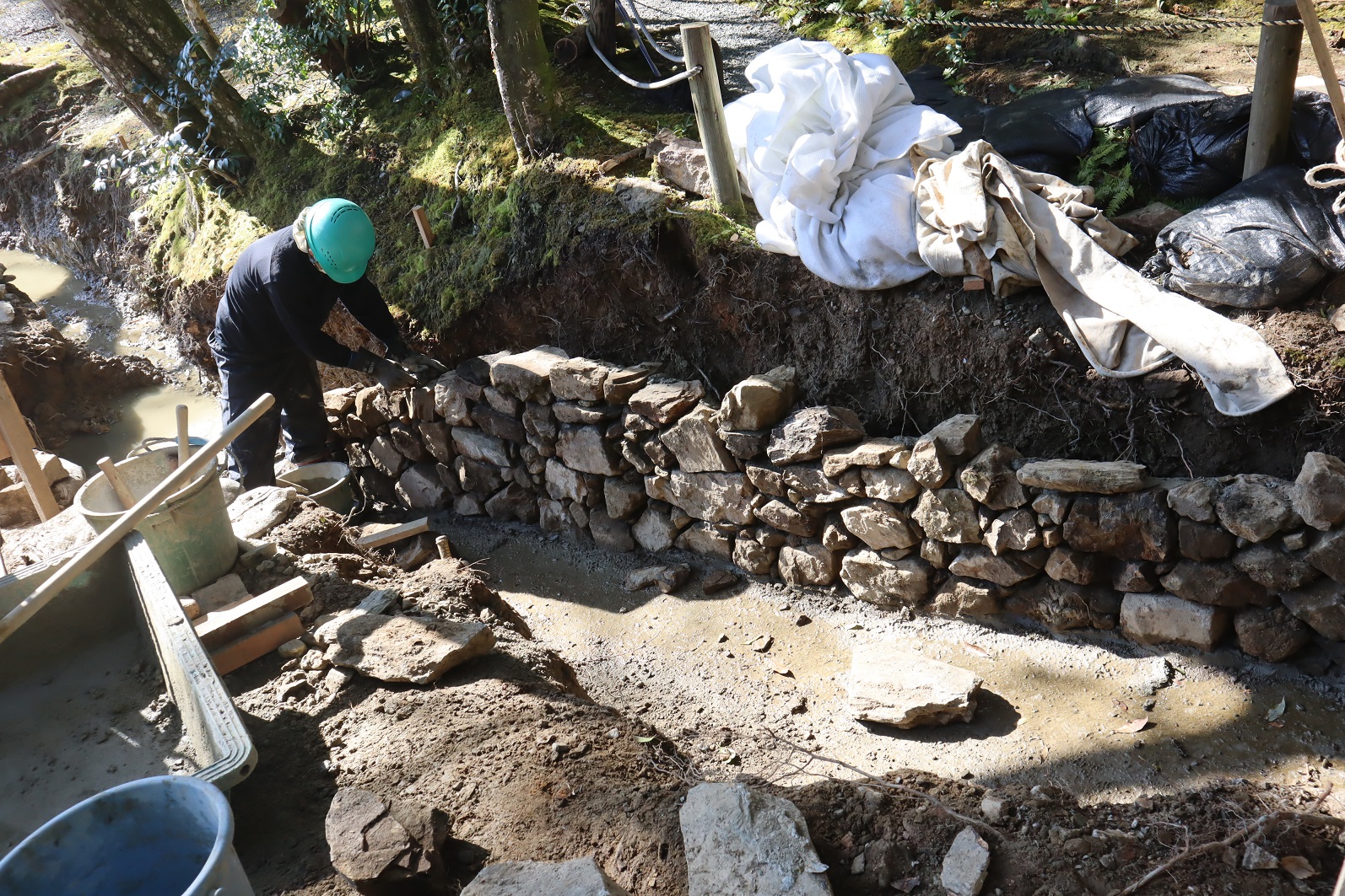  K008 常栄寺庭園保存整備事業