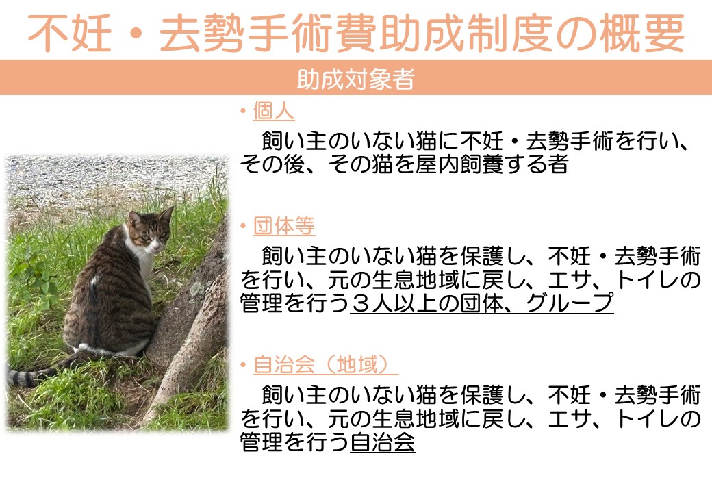 K012 飼い主のいない猫の不妊去勢手術支援～不幸な命を増やさないために～
