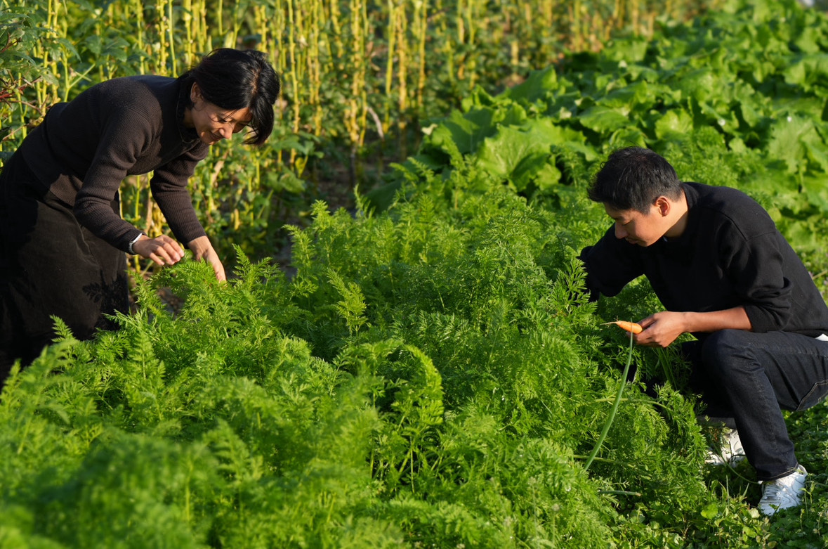 A089 レストランmitsuwaお食事券（６名様分）