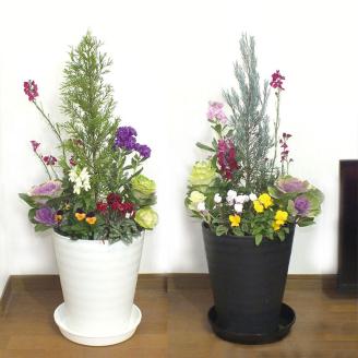 C012 季節の花の寄せ植え　１０号鉢　選べる鉢色　室内園芸装飾マイスター岡部太郎氏監修