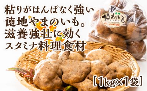 E059 徳地やまのいも1㎏袋（ご家庭用）×1袋