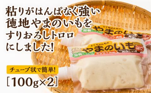 E060 徳地やまのいものすりおろしトロロ　100g×2個