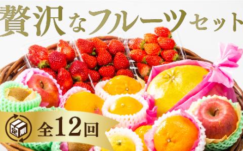 A027 ご褒美＊フルーツ定期便（12回）