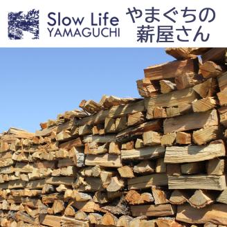 D209 薪ストーブ用・焚き火用の薪15㎏（広葉樹のミックス詰め合わせ）