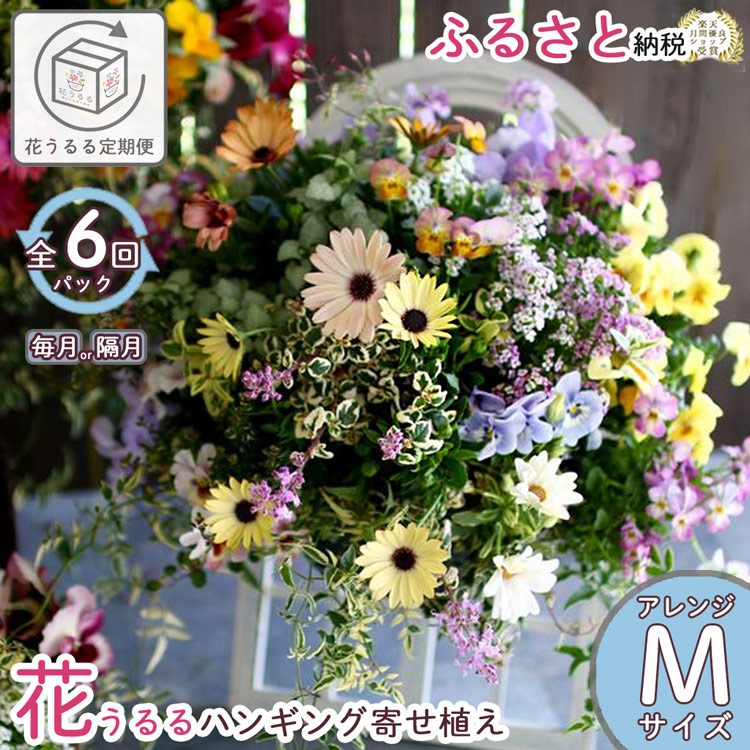 A031 花うるるのハンギング定期便～アレンジコース【全6回】（半年～1年間お届け）