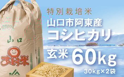 A096 特別栽培米阿東産コシヒカリ玄米60kg