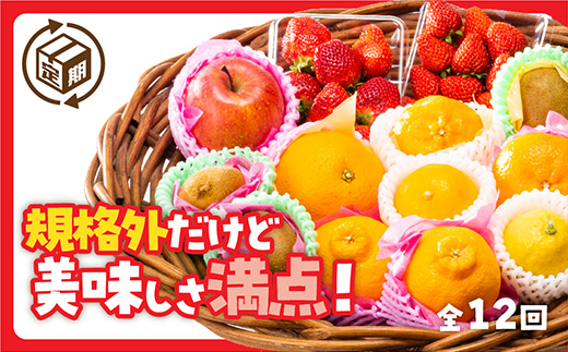 A086 規格外だけど美味しさ満点！エコ・フルーツアソートボックス定期便（12回）