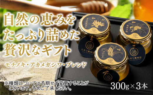 B060 山口県産　愛情いっぱい極上のはちみつギフトセット大（300g×3本）
