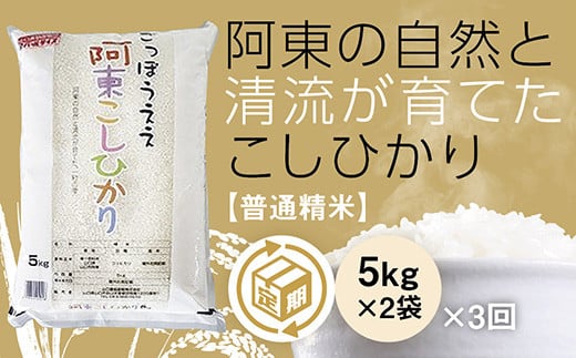 A114 阿東こしひかり（普通精米5kg×2）3か月定期便