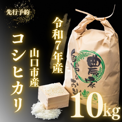 D404 農家直送！山口市産新米「コシヒカリ」精米10kg