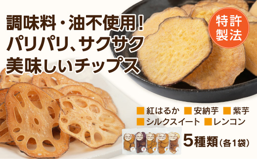 D206 パリパリチップス（詰め合わせ）