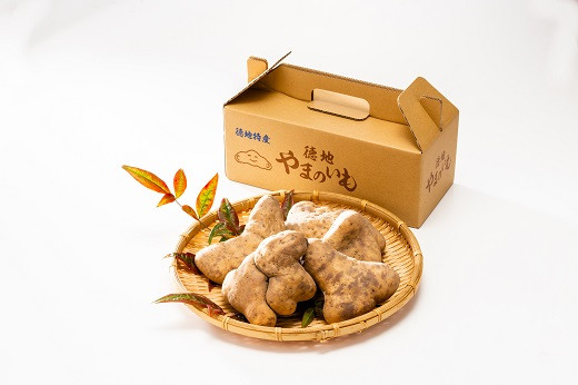 D265 徳地やまのいも箱入り1㎏（秀）
