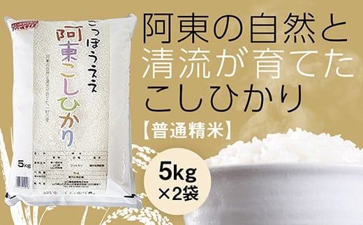 C133 阿東こしひかり（普通精米5kg×2）
