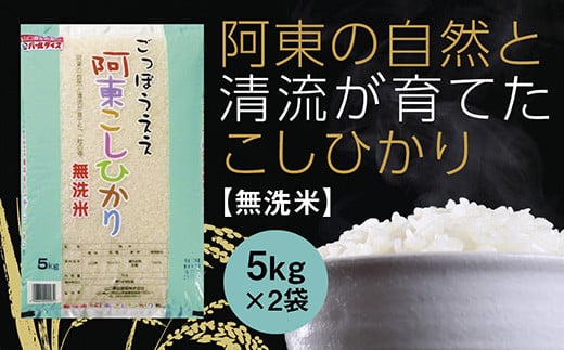 C132 阿東こしひかり（無洗米5kg×2）