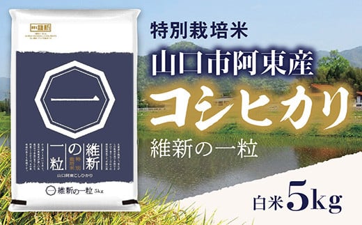 D407 維新の一粒5kg（白米）