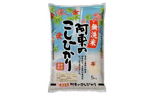 C119 無洗米阿東のコシヒカリ5㎏×2袋（白米）