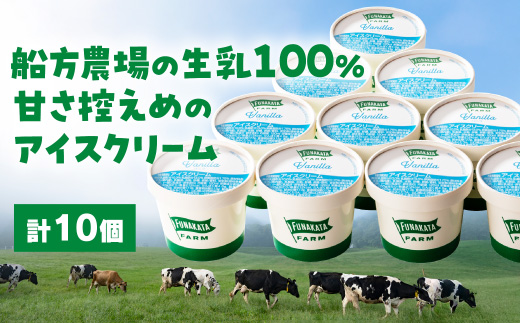 D363 船方農場のアイスクリームセット（10個入り）