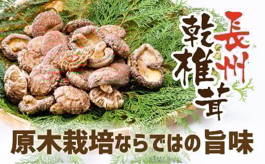 E094 長州乾椎茸スライス28g×3袋