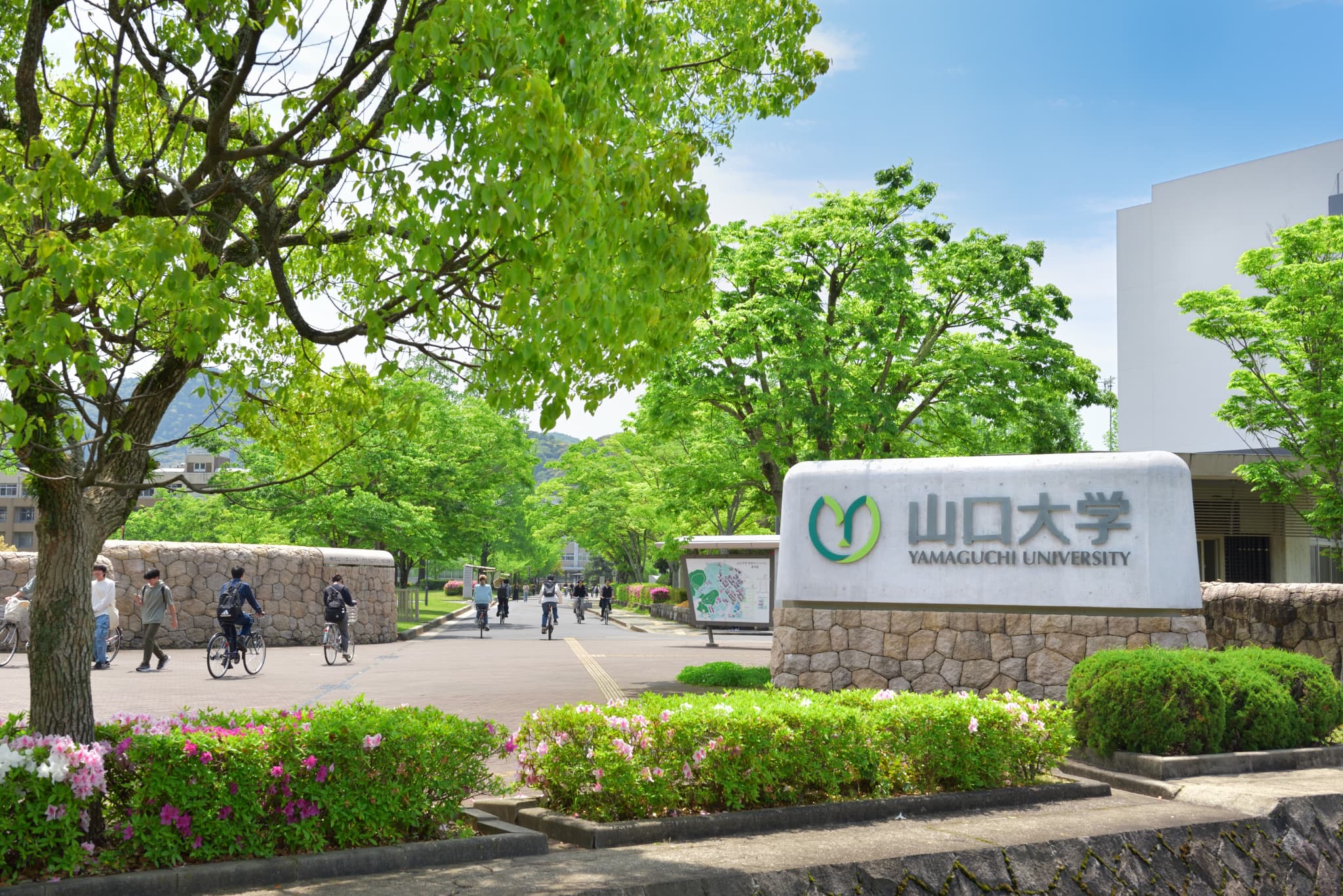 K014 【返礼品なし】山口大学支援事業（教育研究・人材育成・地域貢献活動への支援） | 山口県山口市 学生応援