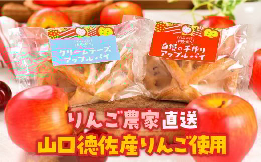 D331 山口・徳佐　林檎のきららのアップルパイセット（２種類　各５個　合計１０個入）