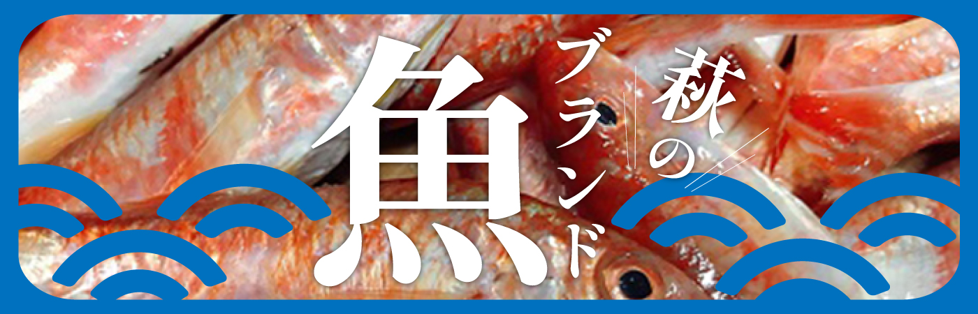 新鮮で豊富な海の幸！萩の魚介特集