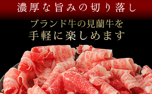 【数量限定】山口県萩市産 見蘭牛 切り落とし 500g (250g×2)国産  肉 お肉 牛｜HG000068