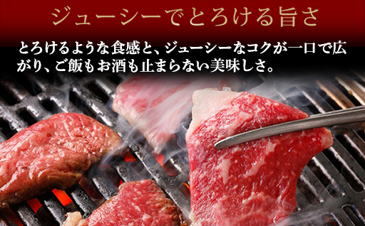 数量限定 牛肉 焼肉 もも 400g 山口県萩市産 見蘭牛 国産 バーベキュー 肉 お肉 牛｜HG000070