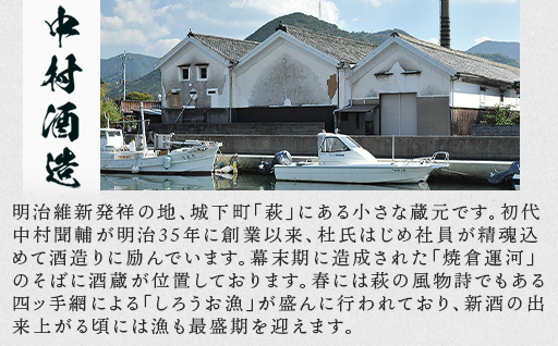 ☆GI萩取得☆ 宝船 『しろうおの里 純米大吟醸』『 大吟醸 』セット｜HG000122