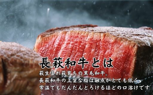 長萩和牛切り落とし　500g　｜HG000186