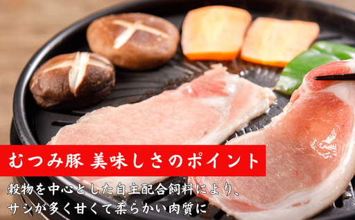 豚肉 うす切り 1000g 萩むつみ豚 国産 肉 お肉 豚｜HG000191