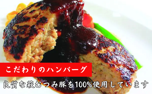 萩むつみ豚 ハンバーグ　180g×5個｜HG000195