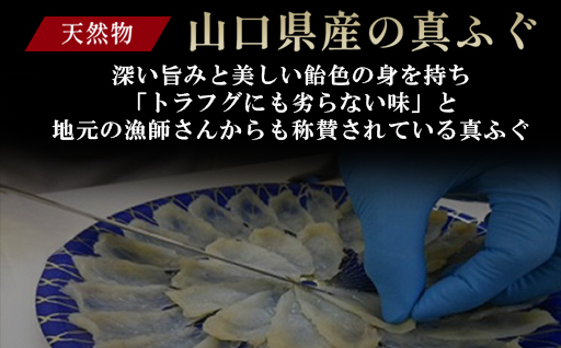 山口県産 真ふぐ 刺身 210g (70g×3皿)｜HG000205 70kg×3皿